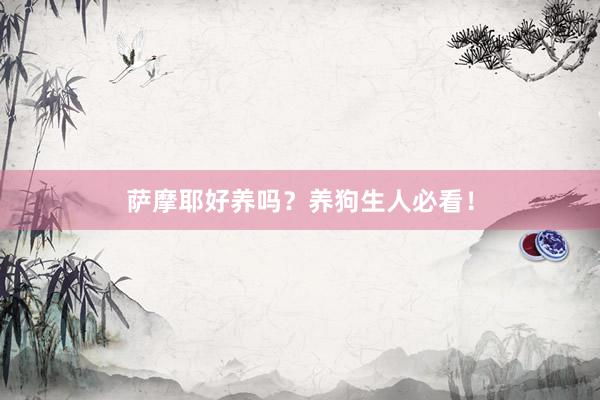 萨摩耶好养吗？养狗生人必看！