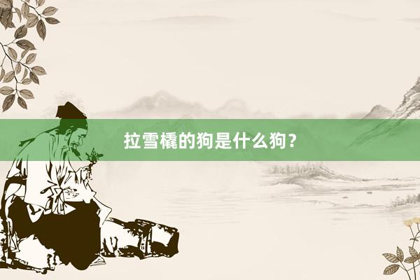 拉雪橇的狗是什么狗？