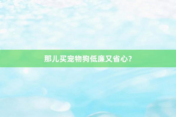 那儿买宠物狗低廉又省心？