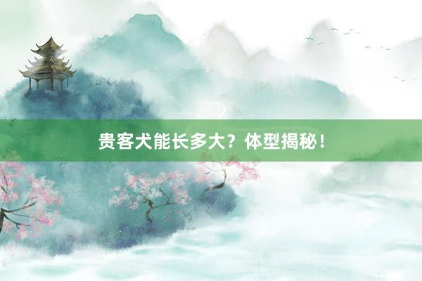 贵客犬能长多大？体型揭秘！