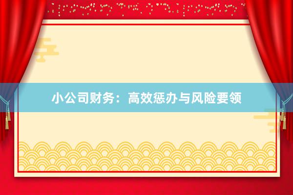 小公司财务：高效惩办与风险要领