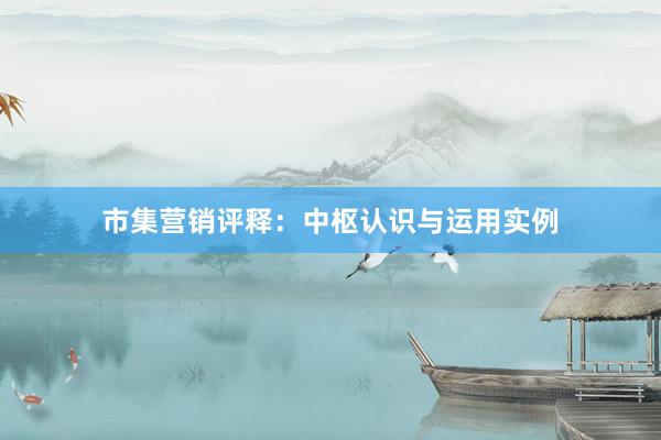 市集营销评释：中枢认识与运用实例