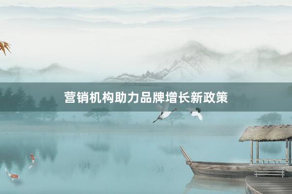 营销机构助力品牌增长新政策